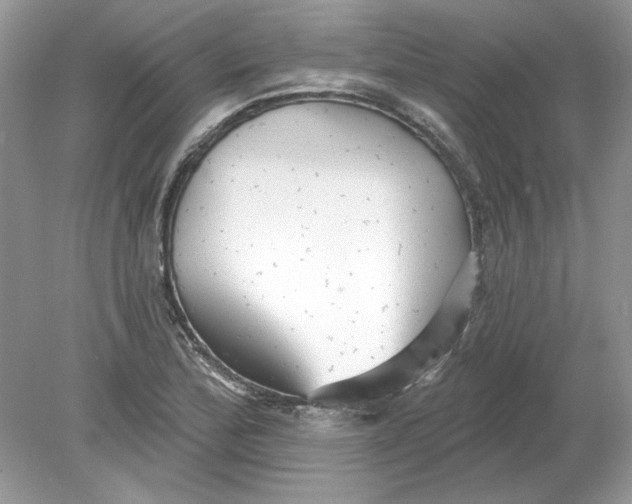 X0000078871172200612041950