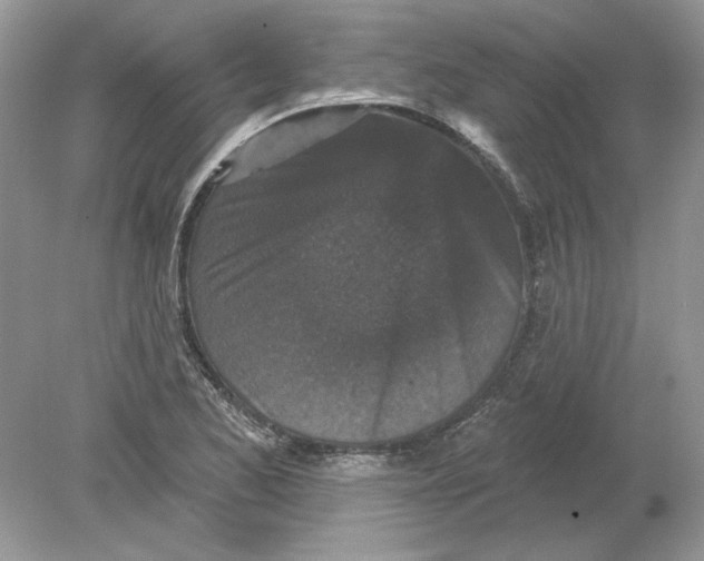 X0000078871173200612041950