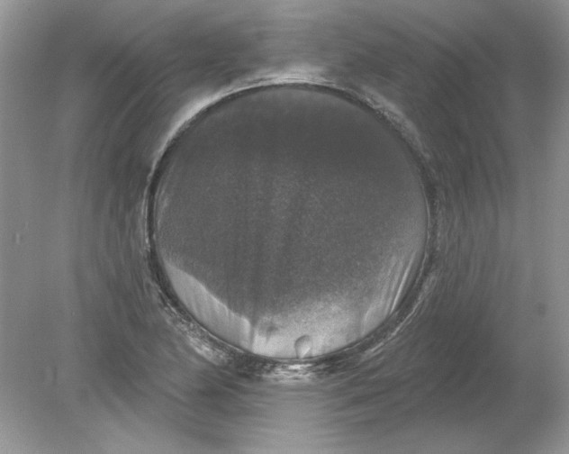 X0000078871174200612041950