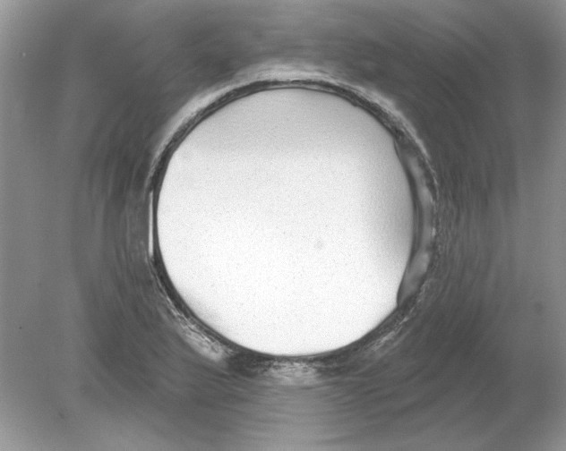 X0000078871175200612041950