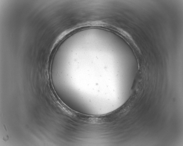 X0000078871176200612041950