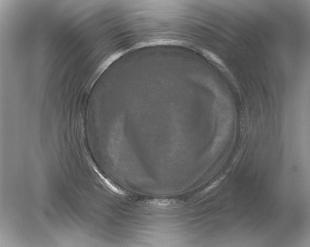 X0000078871177200612041950