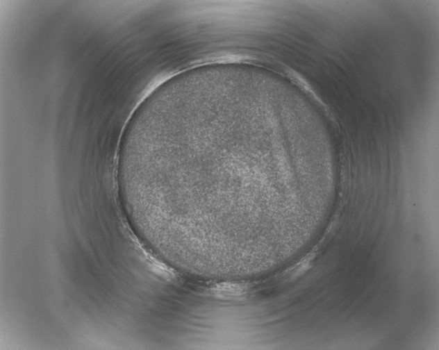 X0000078871178200612041950