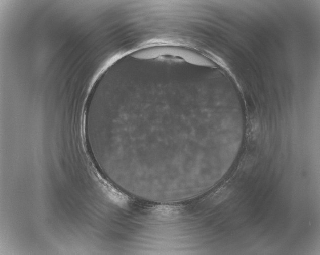 X0000078871179200612041950