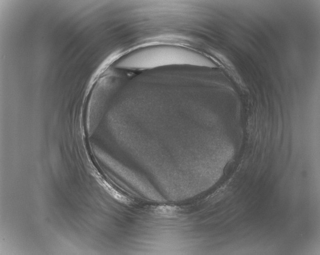 X0000078871180200612041950