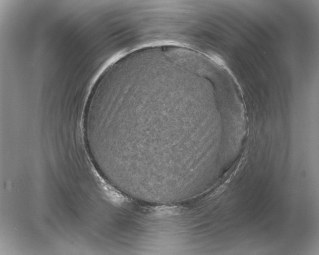 X0000078871181200612041950