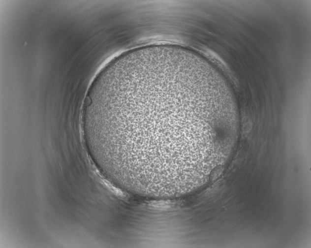 X0000078871182200612041950