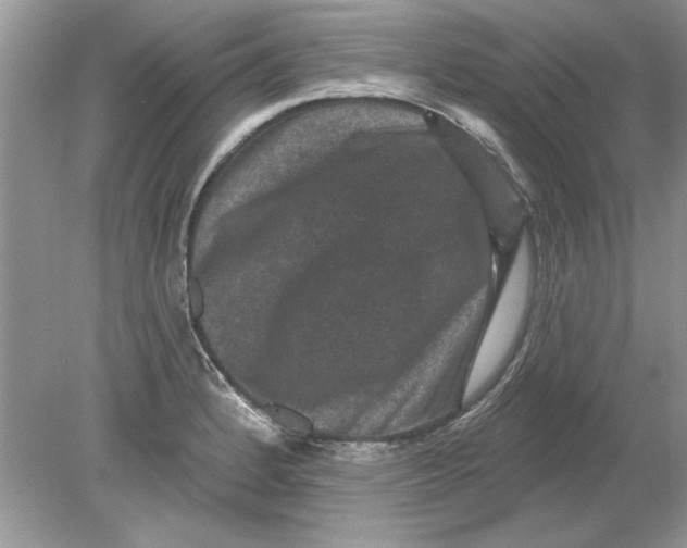 X0000078871184200612041950