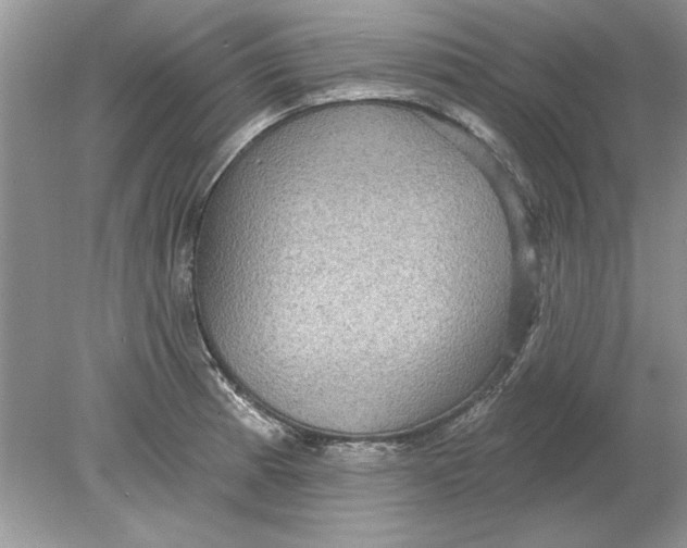 X0000078871185200612041950