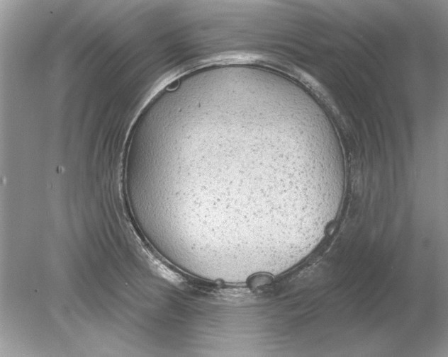 X0000078871186200612041950