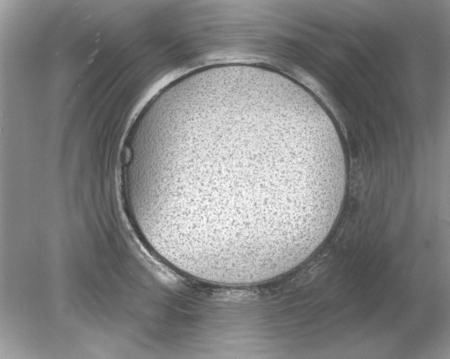 X0000078871187200612041950