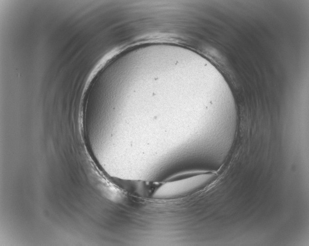 X0000078871188200612041950