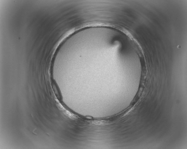 X0000078871189200612041950