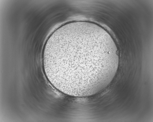 X0000078871191200612041950