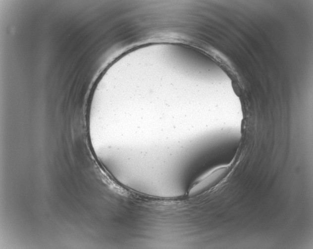 X0000078871192200612041950