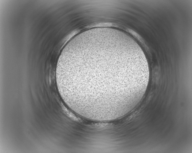 X0000078871193200612041950