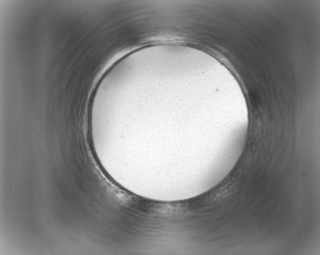 X0000078871195200612041950