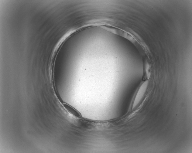 X0000078871196200612041950