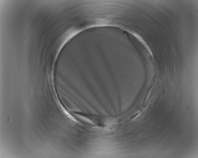 X0000078871197200612041950