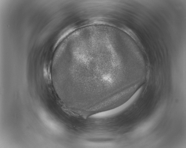 X0000078871198200612041950