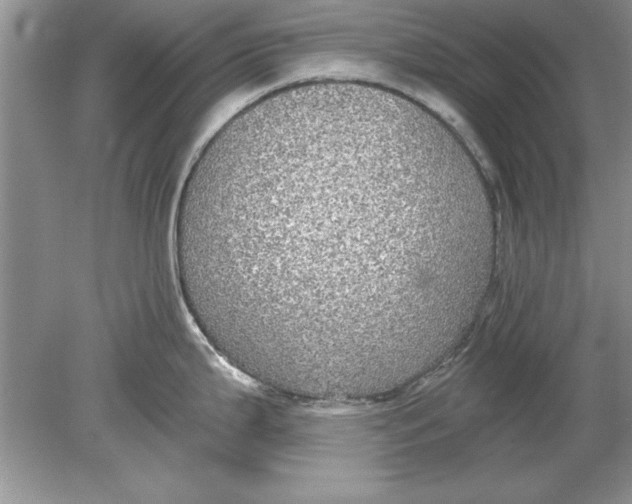 X0000078871199200612041950