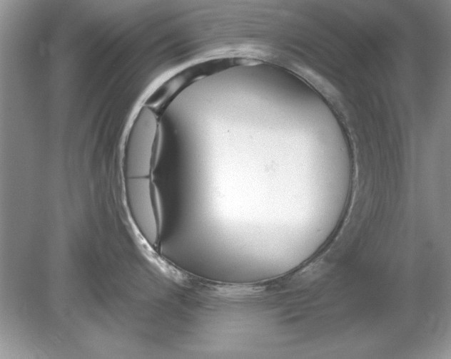 X0000078871200200612041950