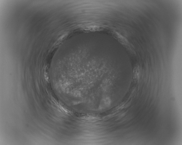 X0000078871202200612041949