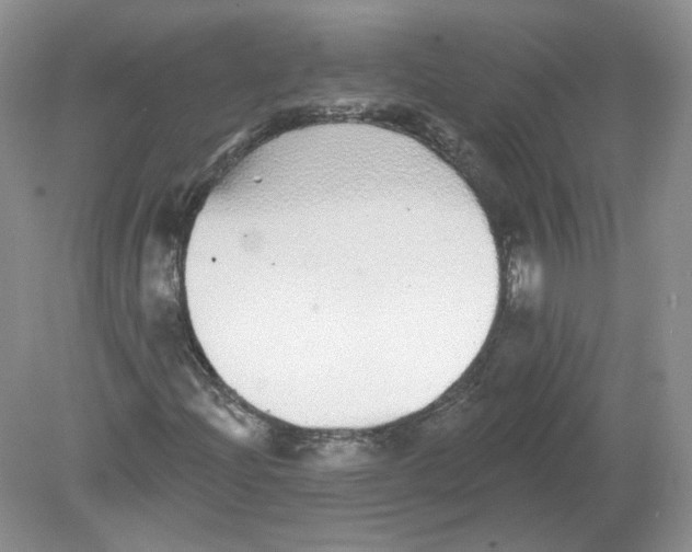 X0000078871204200612041949