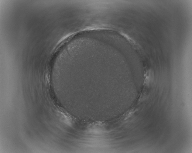 X0000078871206200612041949