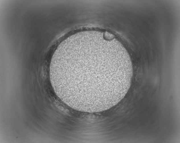 X0000078871207200612041949