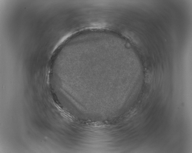 X0000078871208200612041949