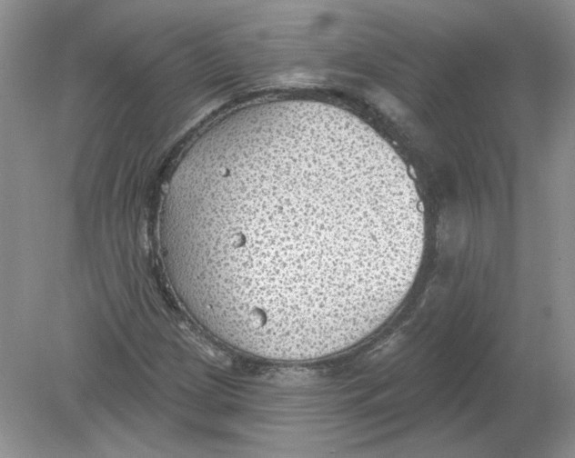 X0000078871209200612041949