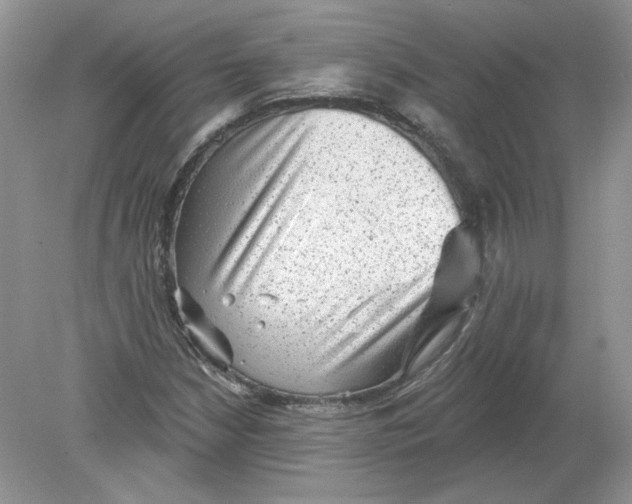 X0000078871210200612041949