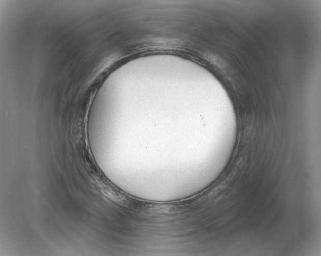 X0000078871211200612041949