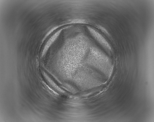 X0000078871212200612041949