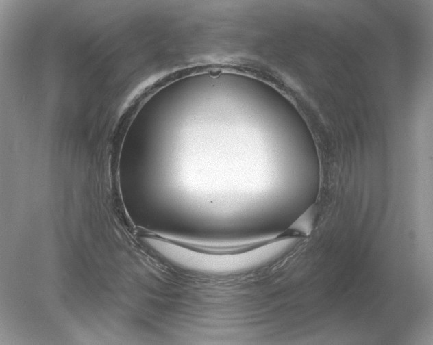 X0000078871214200612041949