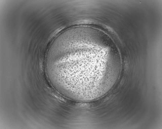 X0000078871217200612041949