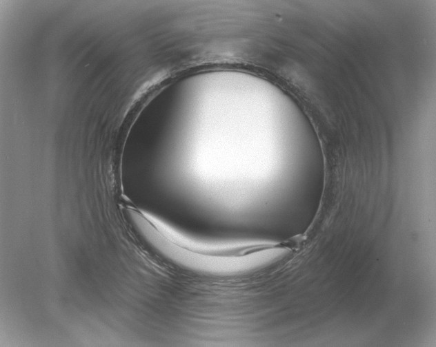 X0000078871218200612041949