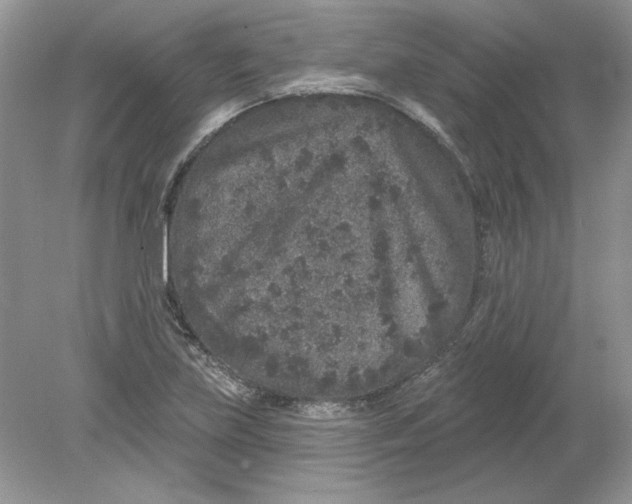 X0000078871219200612041949