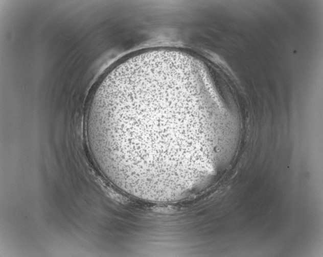 X0000078871220200612041949