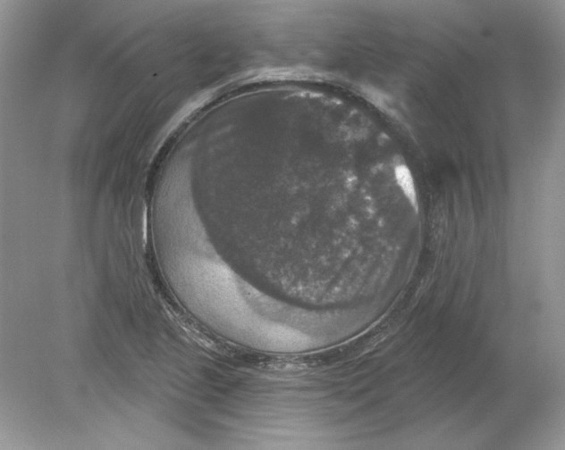 X0000078871221200612041949