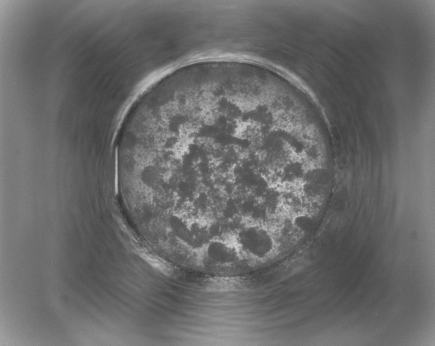 X0000078871223200612041949