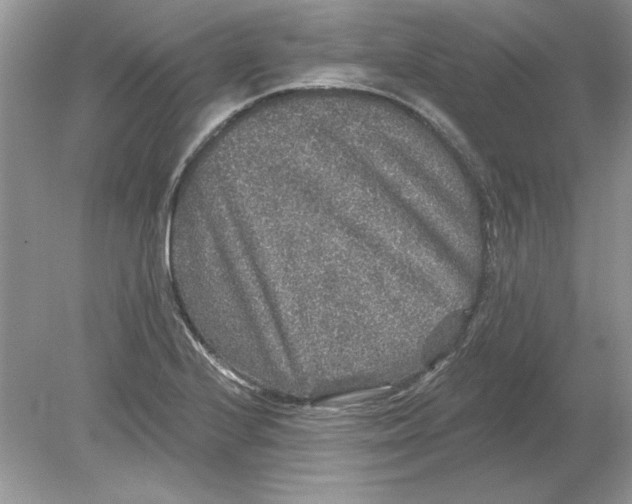 X0000078871224200612041949