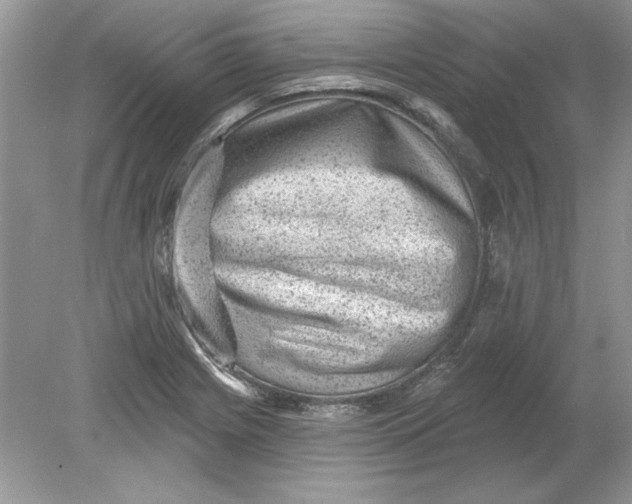 X0000078871225200612041949