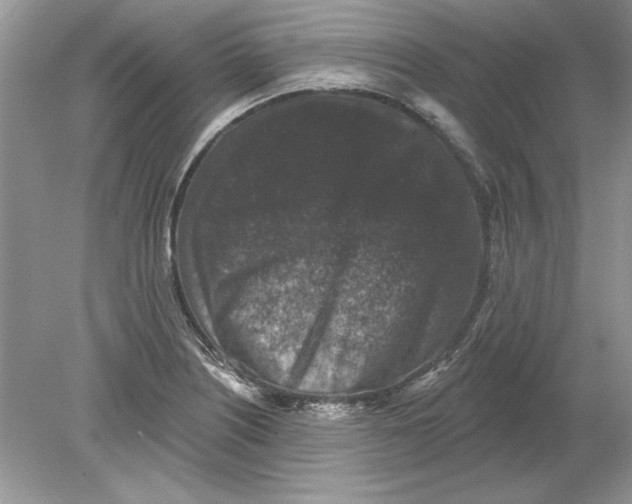 X0000078871226200612041949