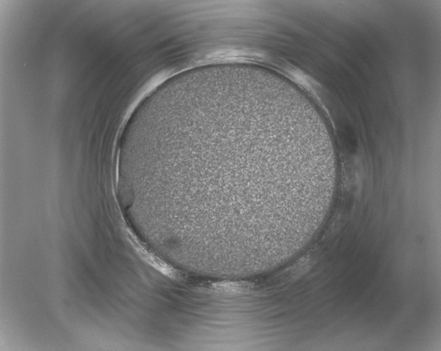 X0000078871227200612041949