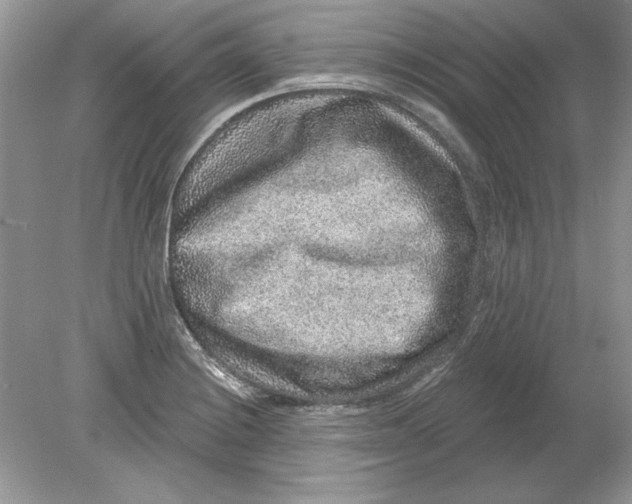 X0000078871228200612041949