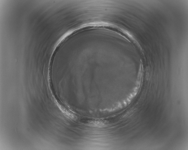 X0000078871229200612041949