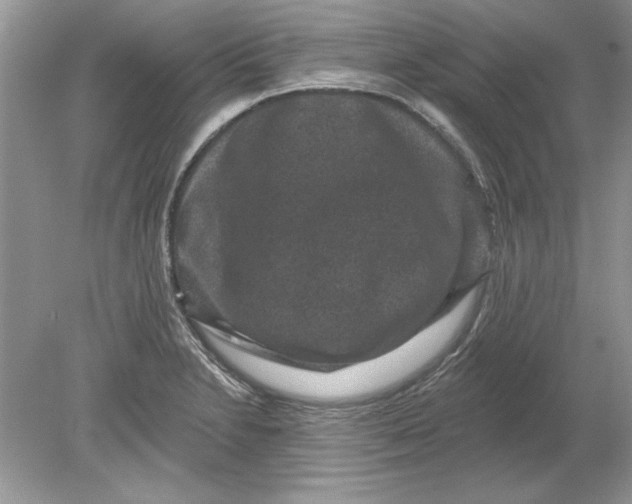 X0000078871230200612041949