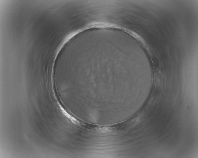 X0000078871231200612041949